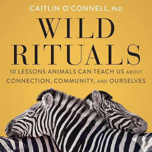 Cover of Wild Rituals