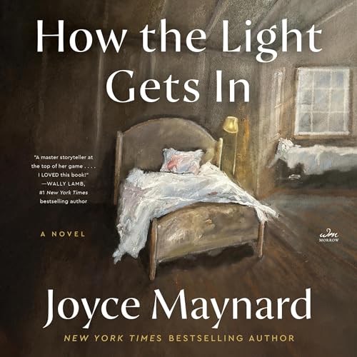 Cover of How the Light Gets In