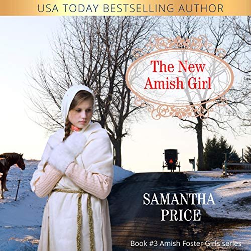 Cover of The New Amish Girl
