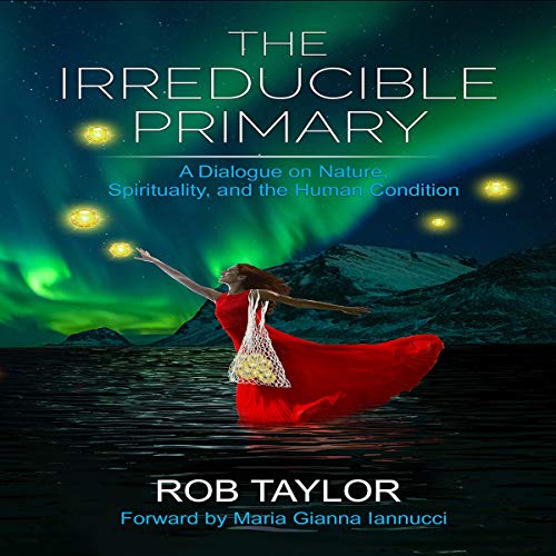 Cover of The Irreducible Primary