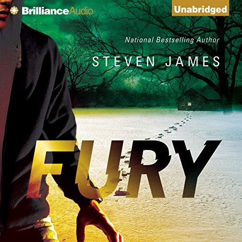 Cover of Fury
