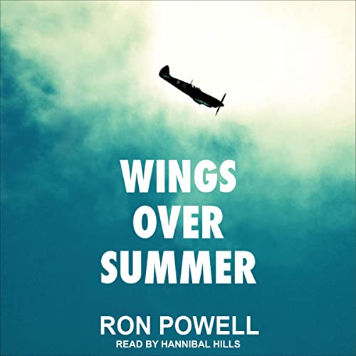 Cover of Wings over Summer