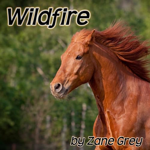 Cover of Wildfire