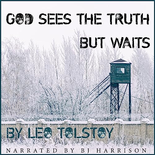 Cover of God Sees the Truth but Waits