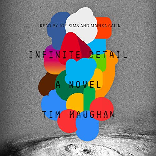 Cover of Infinite Detail
