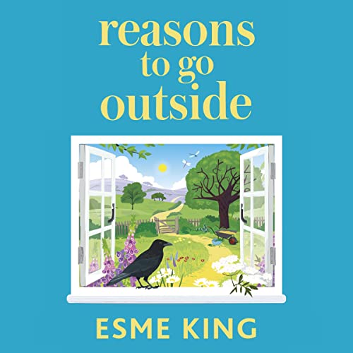 Cover of Reasons to Go Outside