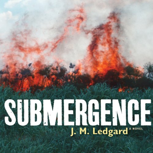 Cover of Submergence