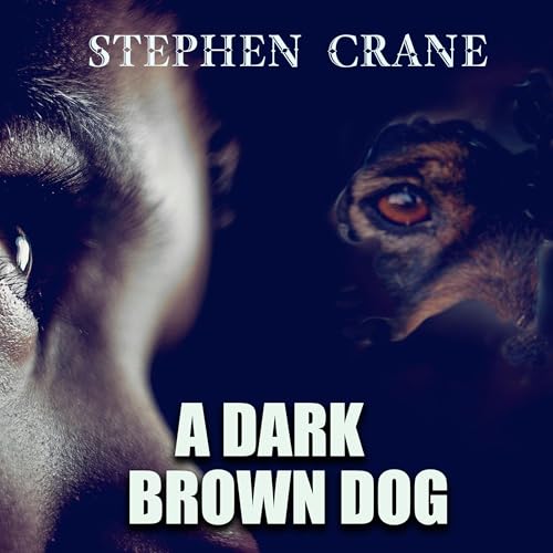 Cover of A Dark Brown Dog