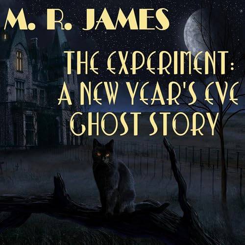 Cover of The Experiment - A New Year's Eve Ghost Story