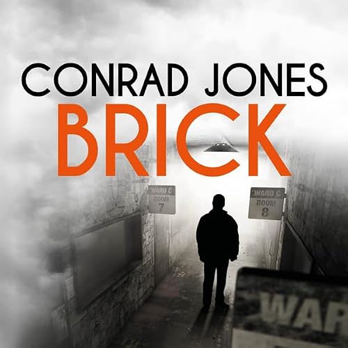 Cover of Brick