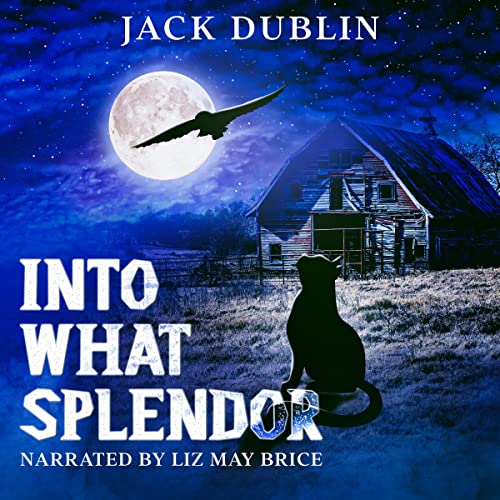 Cover of Into What Splendor