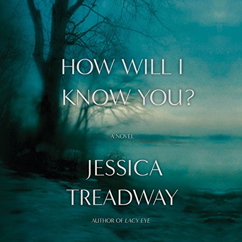 Cover of How Will I Know You?