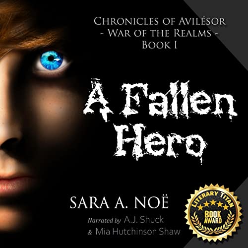 Cover of A Fallen Hero