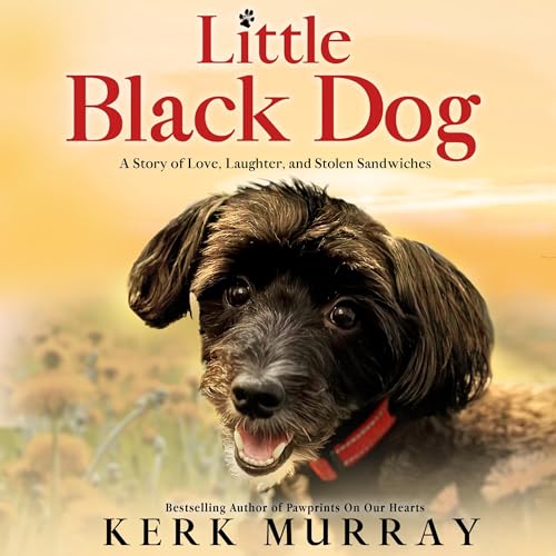 Cover of Little Black Dog