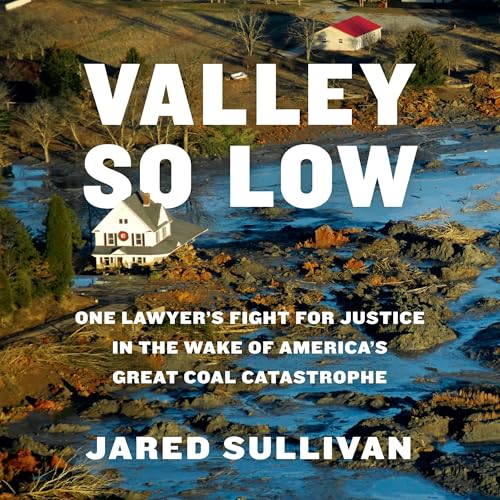 Cover of Valley So Low