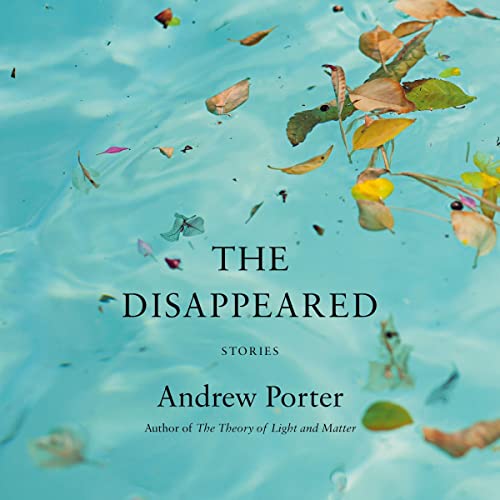 Cover of The Disappeared
