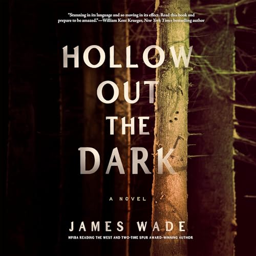 Cover of Hollow Out the Dark