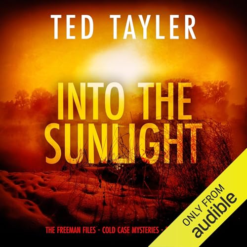 Cover of Into the Sunlight