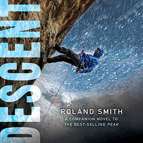 Cover of Descent