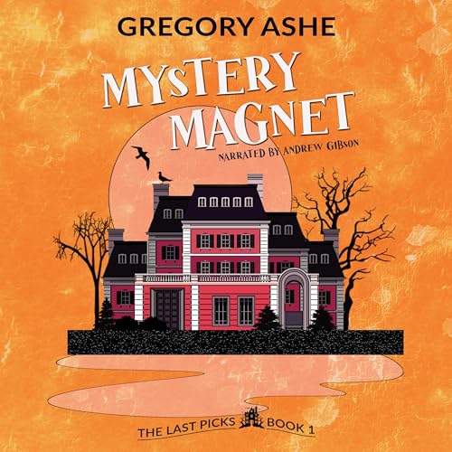 Cover of Mystery Magnet