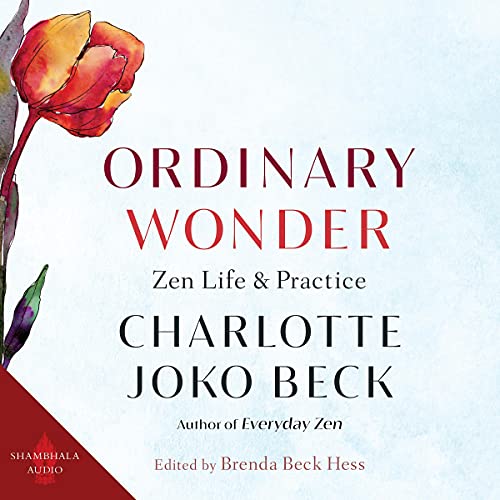 Cover of Ordinary Wonder