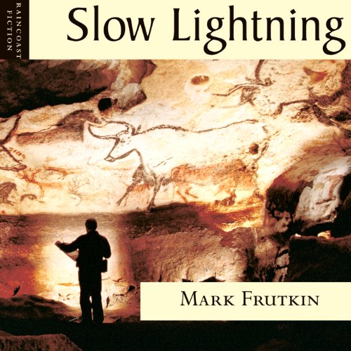 Cover of Slow Lightning