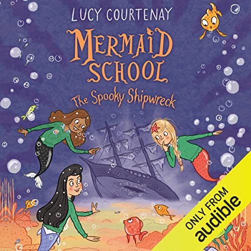 Cover of The Spooky Shipwreck