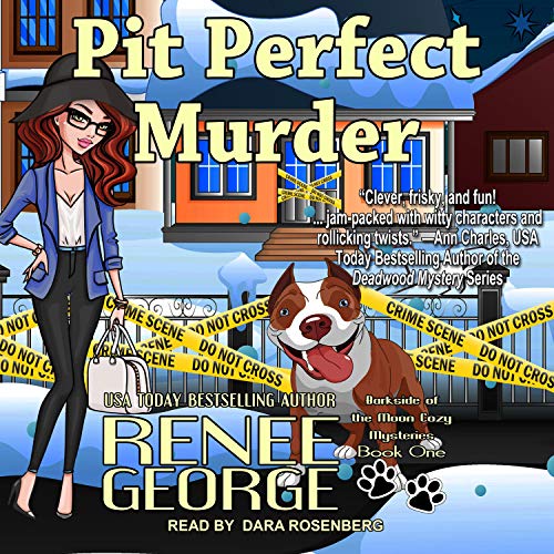 Cover of Pit Perfect Murder
