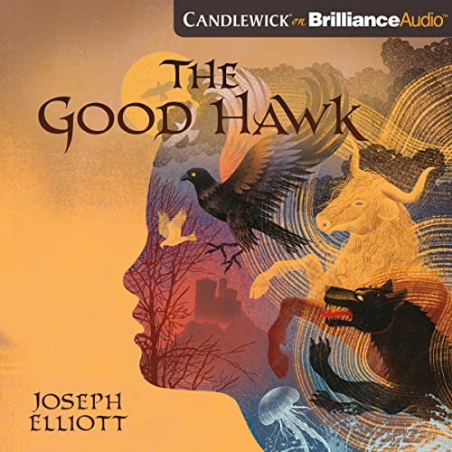 Cover of The Good Hawk