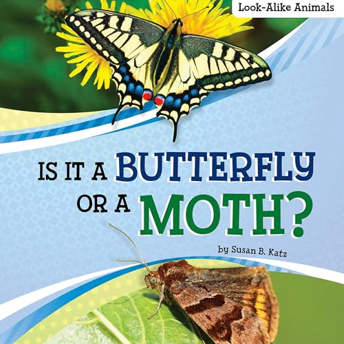 Cover of Is It a Butterfly or a Moth?