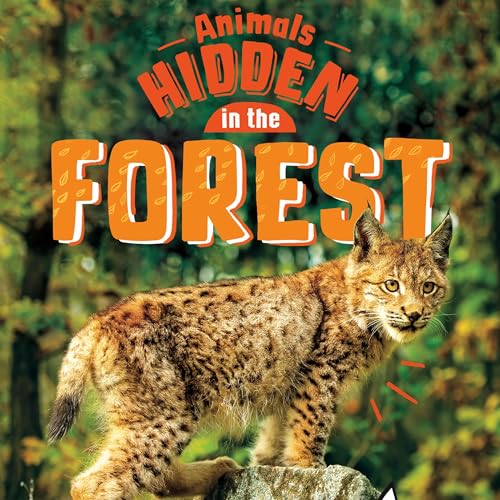 Cover of Animals Hidden in the Forest