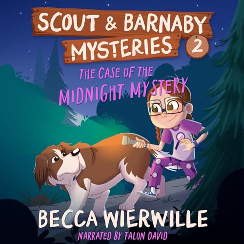 Cover of The Case of the Midnight Mystery
