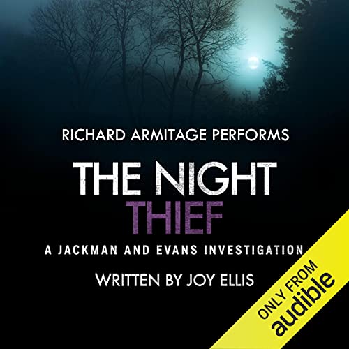 Cover of The Night Thief