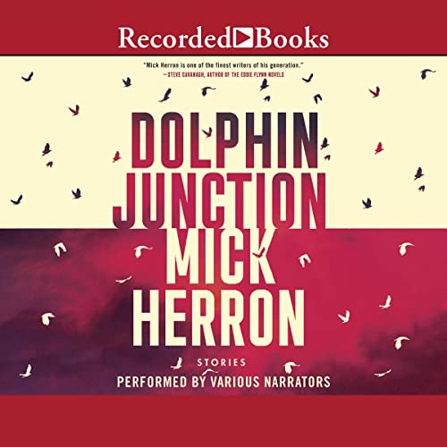 Cover of Dolphin Junction