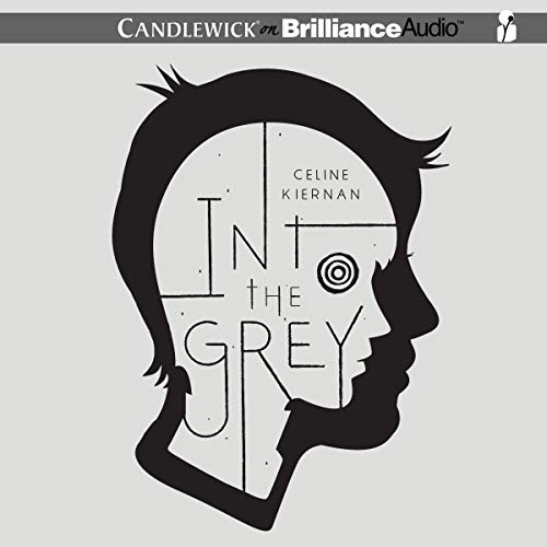 Cover of Into the Grey
