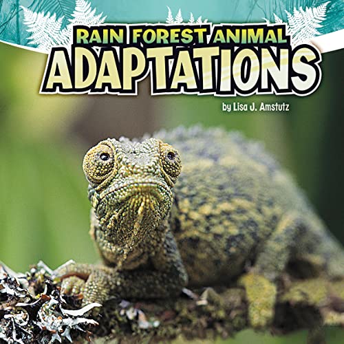 Cover of Rain Forest Animal Adaptations