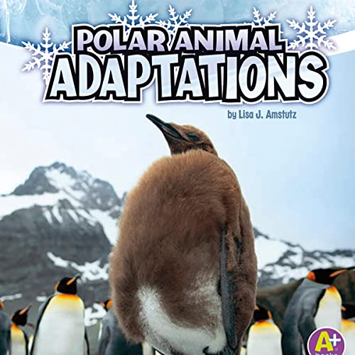 Cover of Polar Animal Adaptations