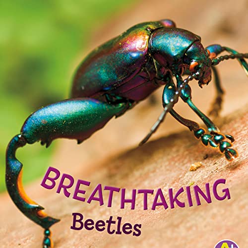 Cover of Breathtaking Beetles