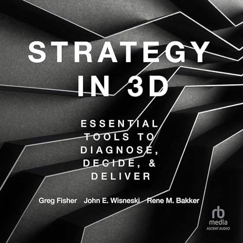 Cover of Strategy in 3D