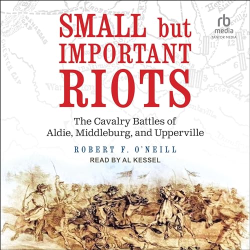 Cover of Small but Important Riots