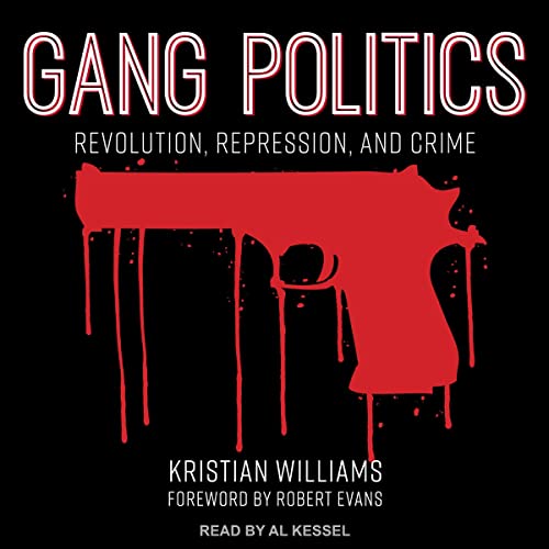 Cover of Gang Politics