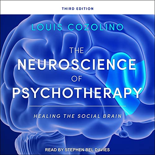 Cover of The Neuroscience of Psychotherapy