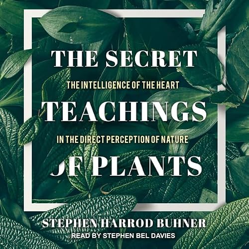 Cover of The Secret Teachings of Plants