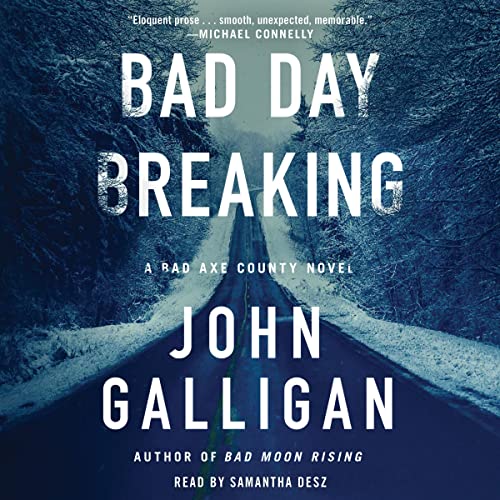 Cover of Bad Day Breaking