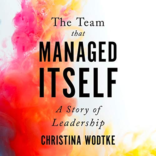Cover of The Team That Managed Itself: A Story of Leadership