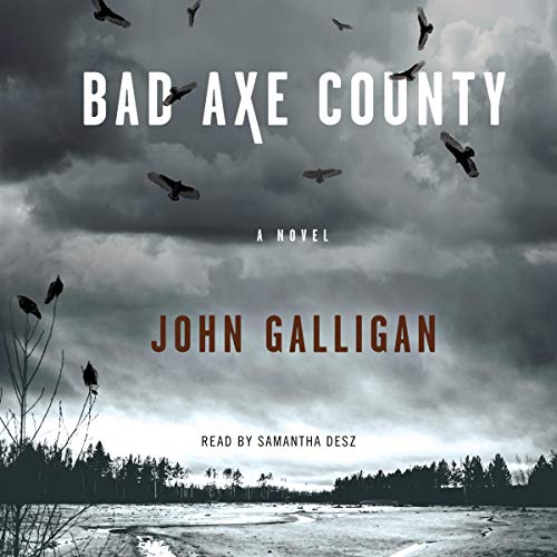 Cover of Bad Axe County