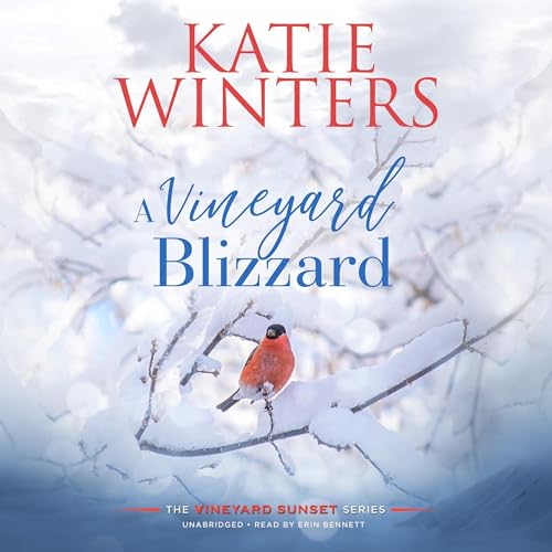 Cover of A Vineyard Blizzard