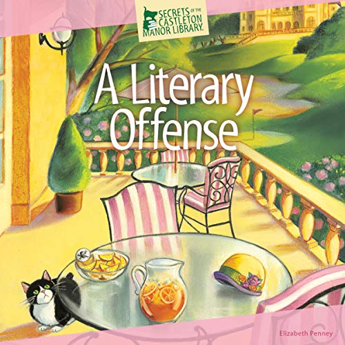 Cover of A Literary Offense