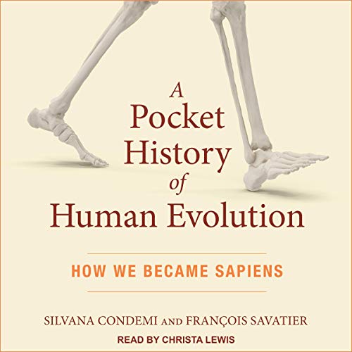 Cover of A Pocket History of Human Evolution