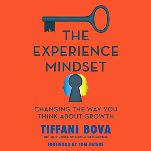 Cover of The Experience Mindset